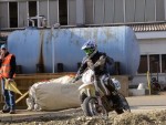 aarb06_cj_DSC08095.JPG