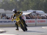 aarb06_cj_DSC08171.JPG