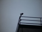 buc05_pn_DSC01912.JPG