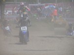 buc05_pn_DSC02180.JPG