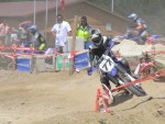 buc06_cj_DSC06842.JPG