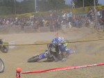 buc06_cj_DSC06907.JPG