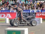 buc06_cj_DSC07173.JPG