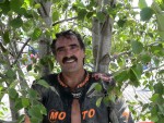 buc06_cj_DSC07179.JPG