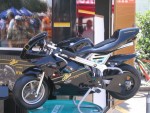 buc06_cj_IMG_0091.jpg