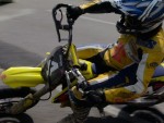 buc06_pn_DSC09126.JPG