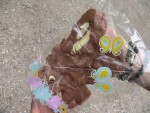 buc06_pn_DSC09390.JPG