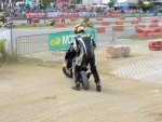 Buc04_DSC03259.JPG