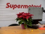 DSC07001.JPG