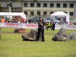 ff06_pn_DSC06875.JPG