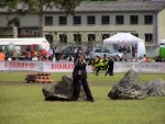 ff06_pn_DSC06876.JPG