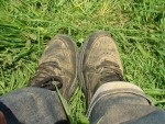 fr08_bs_DSC00303.JPG