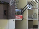 hy06_pn_DSC07374.JPG