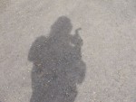 hy06_pn_DSC07891.JPG