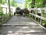 hy07_pn_DSC02698.JPG
