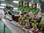DSC07513.JPG