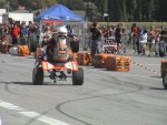 Turt04_pk1_DSC00163.JPG