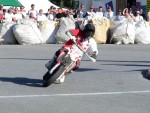 turt05_pk_DSC04758.JPG