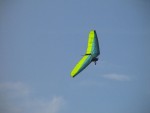turt05_pn_DSC04759.JPG