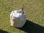 turt05_pn_DSC04807.JPG