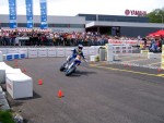 YamDay06_cj_IMG_0159.jpg