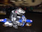 Rg06_pn_DSC05838.JPG