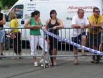 stst08_pn_DSC02245.JPG