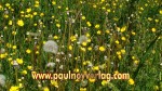 23.05.2010 15.40.45_biere10_pn_DSC01658.JPG