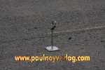 14.10.2012 13.18.45_ff12_pn_IMG_4365.JPG