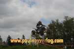 13.05.2012 14.19.48_lig12_pn_DSC_1547.jpg