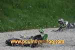 13.05.2012 15.56.42_lig12_pn_DSC_2098.jpg