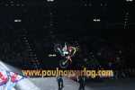 09.02.2016 21.35.38_NitroCircus16_pn_IMG_9616.JPG