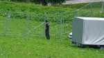 27.06.2009 19.56.23_os09_pn_DSC02248.JPG