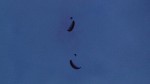 27.06.2009 21.19.32_os09_pn_DSC02326.JPG
