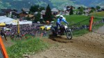 28.06.2009 11.17.35_os09_pn_DSC02340.JPG