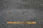 31.08.2014 15.56.02_rg14outdoor_pn_IMG_8405.JPG