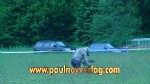 20.06.2010 13.29.37_stst10_pn_DSC03051.JPG