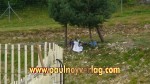 02.08.2009 11.19.59_vse09_pn_DSC03667.JPG